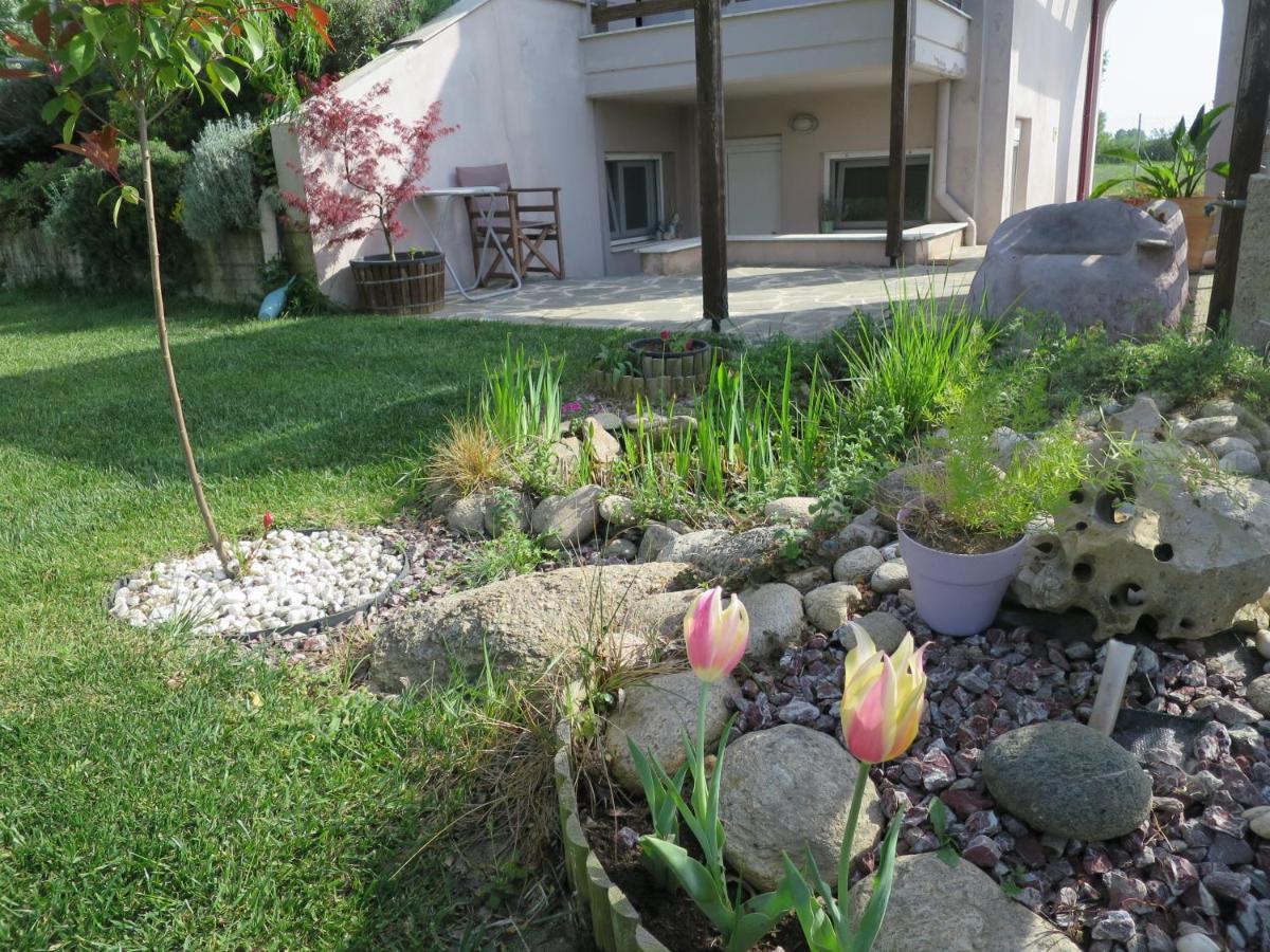 Guesthouse With Garden كوموتيني المظهر الخارجي الصورة