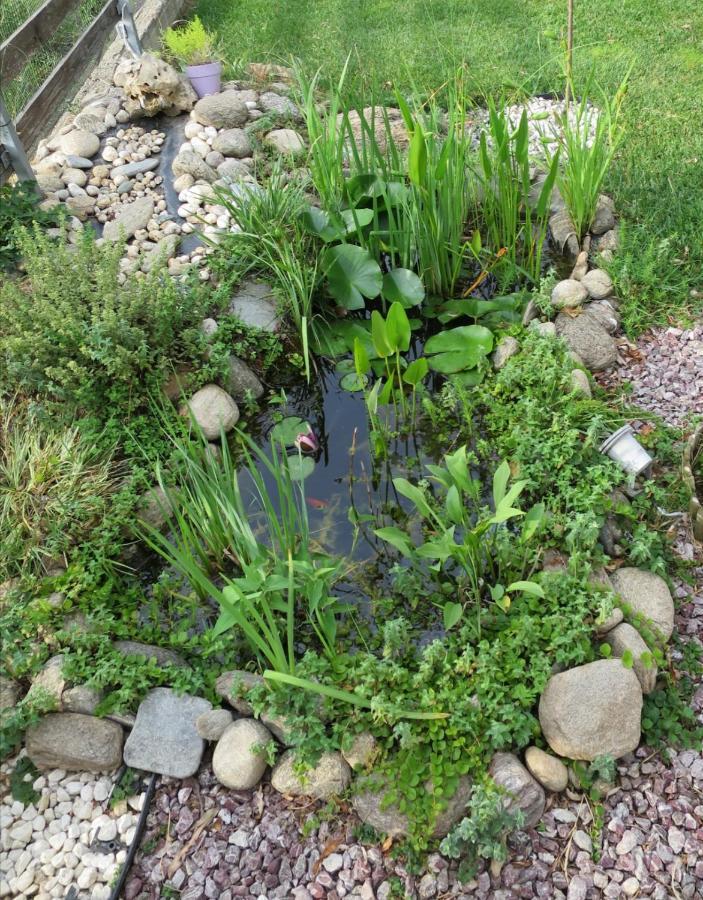 Guesthouse With Garden كوموتيني المظهر الخارجي الصورة